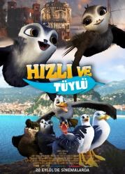 HIZLI VE TÜYLÜ